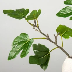 Faux Fig Leaf Branch Arrangement - Hearth & Hand™ With Magnolia 6 Faux Fig Leaf Branch Arrangement - Hearth & Hand™ With Magnolia -Hearth & Hand With Magnolia Shop GUEST 10f75cfd a7b2 47ac 8aba d9c6ab1efc9d