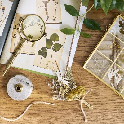 8" Decorative Brass And Marble Magnifying Glass - Hearth & Hand™ With Magnolia 1 8" Decorative Brass And Marble Magnifying Glass - Hearth & Hand™ With Magnolia