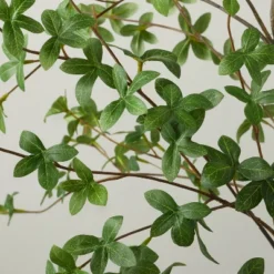 55" Faux Gypsophila Leaf Tree - Hearth & Hand™ With Magnolia 3 55" Faux Gypsophila Leaf Tree - Hearth & Hand™ With Magnolia -Hearth & Hand With Magnolia Shop GUEST 9ffa8c3c dbee 4e82 ac75 716dcddf07e6