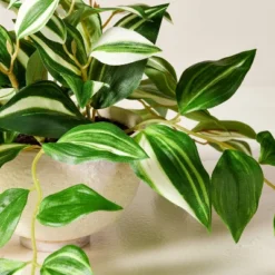 7"x19" Faux Variegated Zebrina Plant - Hearth & Hand™ With Magnolia 3 7"x19" Faux Variegated Zebrina Plant - Hearth & Hand™ With Magnolia -Hearth & Hand With Magnolia Shop GUEST cadd6bcc bc10 4437 830b 5931f6ce1d3f