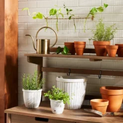 9pc Steel & Glass Plant Propagation Set Gold/Clear - Hearth & Handâ„¢ With Magnolia